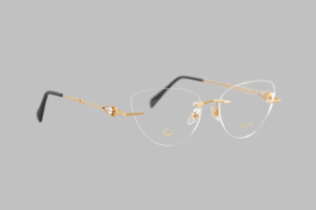 Eye Spy Gold Cat
